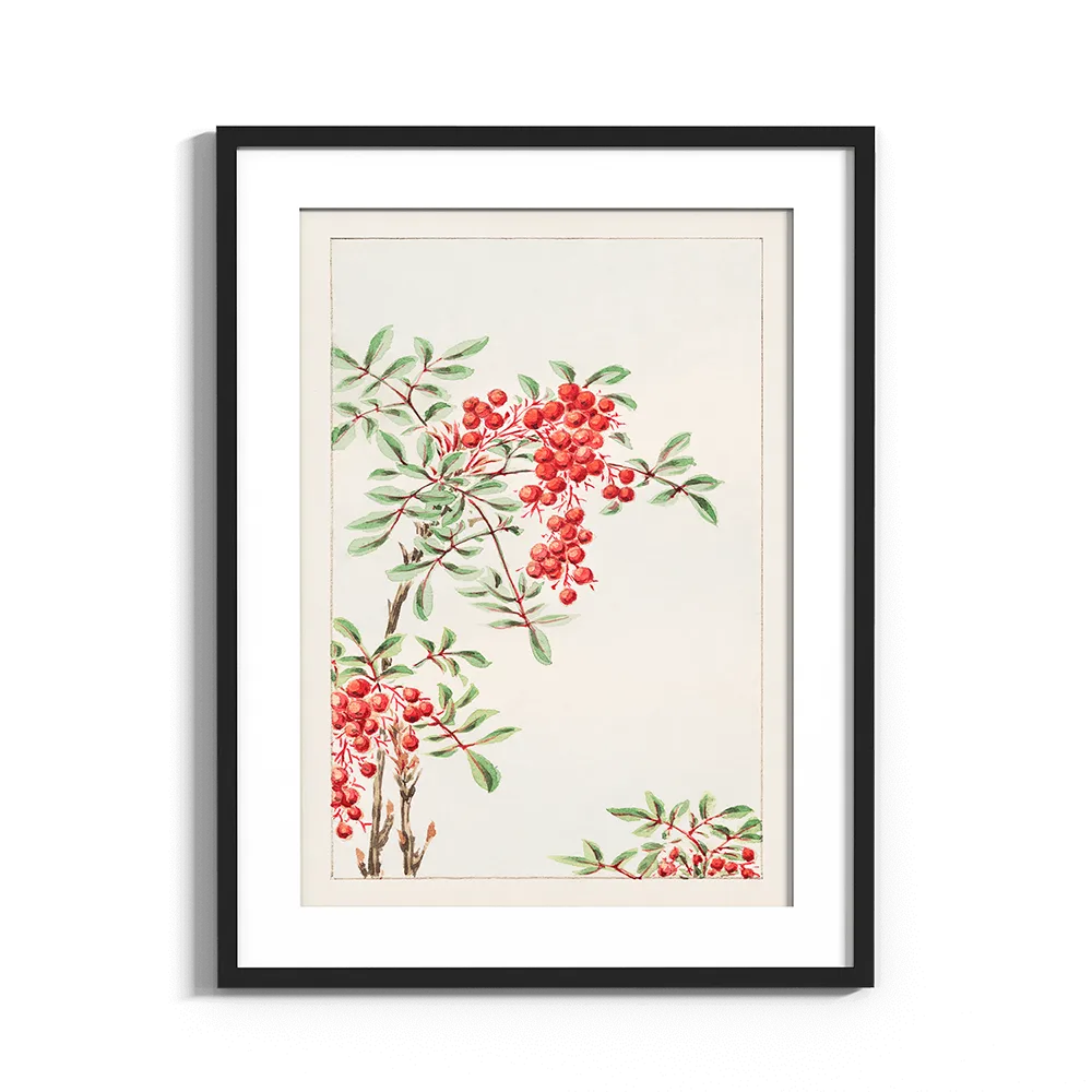 Piros bogyós növény